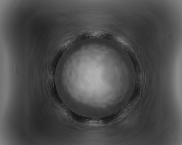 X0000085780415200703231250