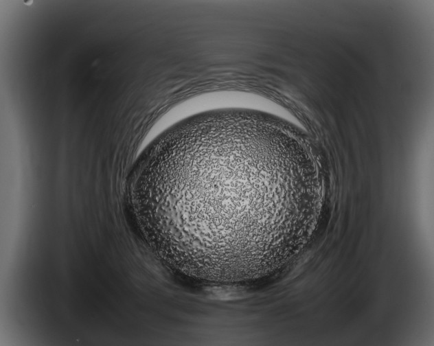 X0000085780417200703231250