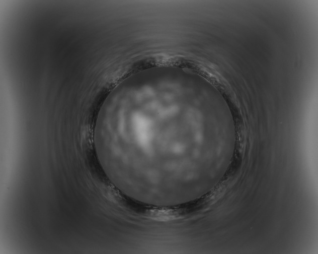 X0000085780419200703231250