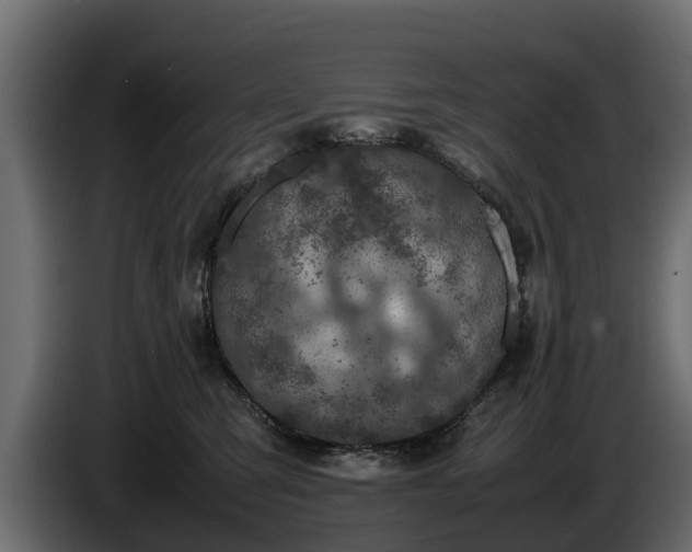 X0000085780423200703231250