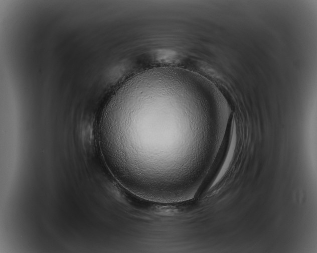 X0000085780424200703231250