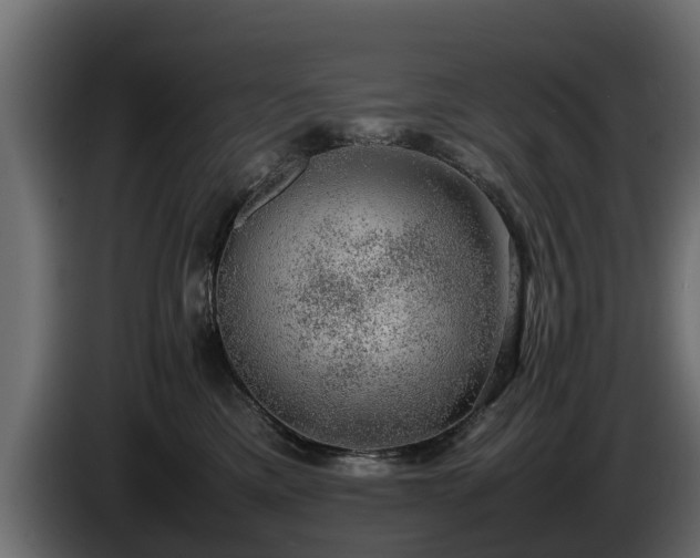 X0000085780425200703231250