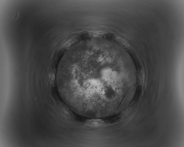 X0000085780427200703231250