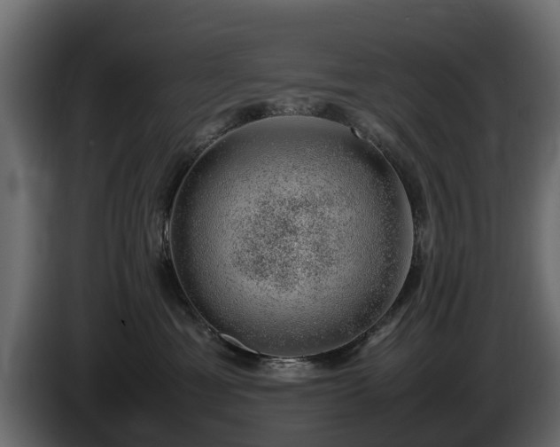 X0000085780429200703231250