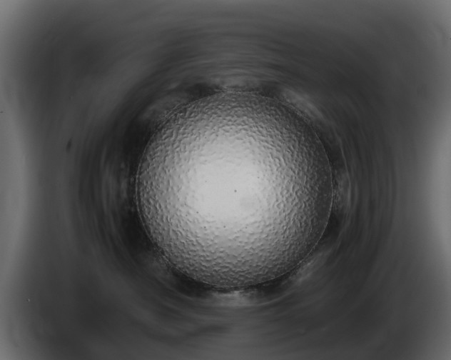 X0000085780430200703231250