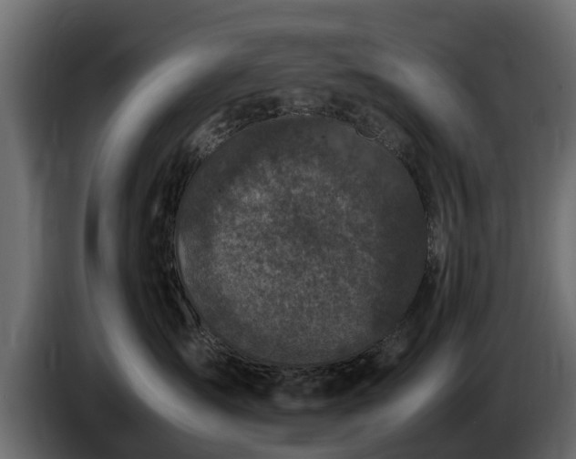 X0000085780431200703231250