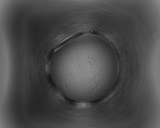 X0000085780432200703231250