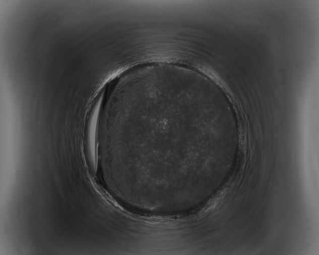 X0000085780434200703231249