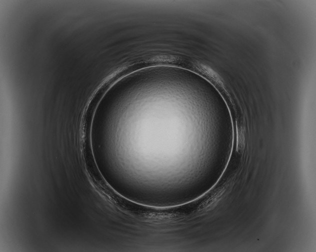 X0000085780435200703231249