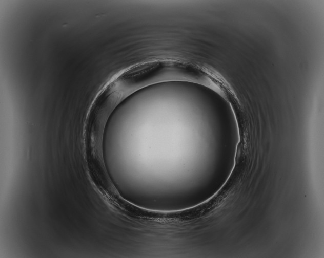 X0000085780436200703231249