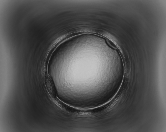 X0000085780437200703231249