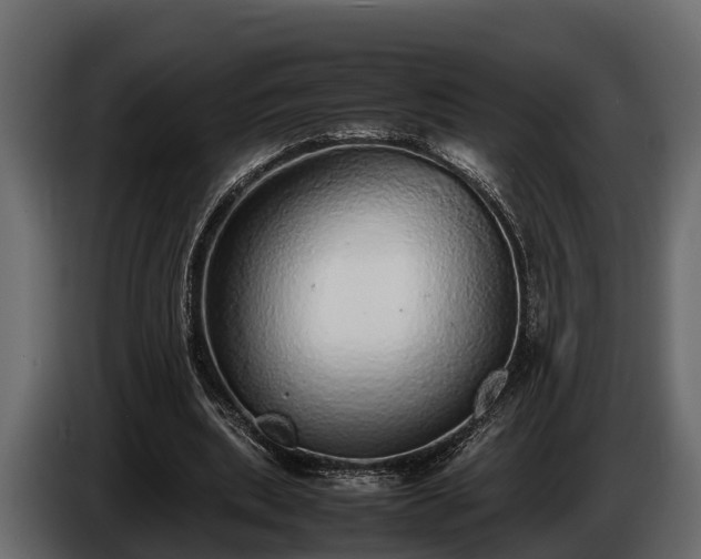 X0000085780439200703231249