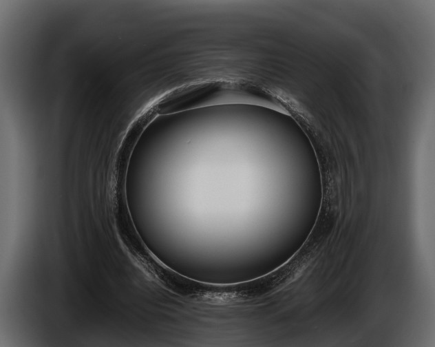 X0000085780440200703231249