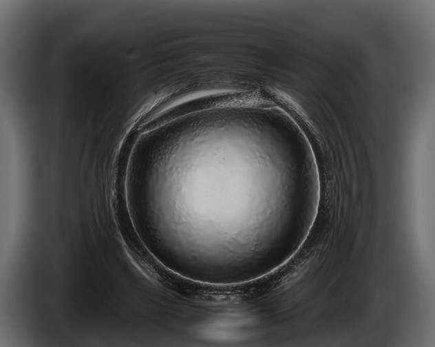 X0000085780443200703231249