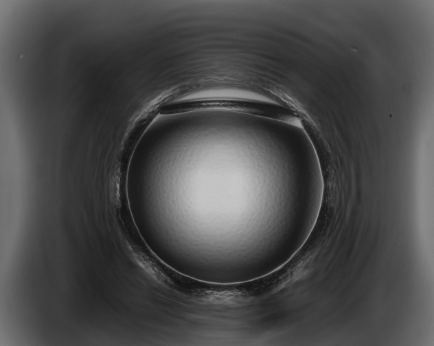 X0000085780446200703231249