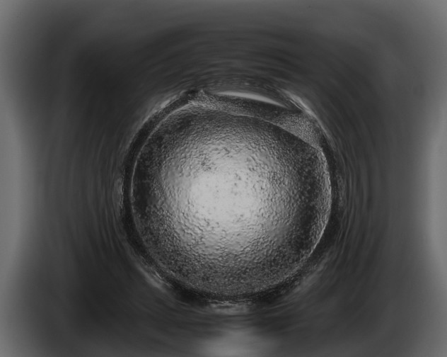 X0000085780447200703231249