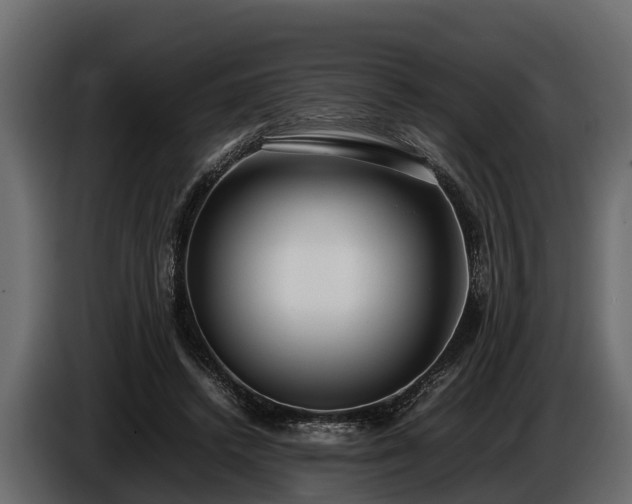 X0000085780448200703231249