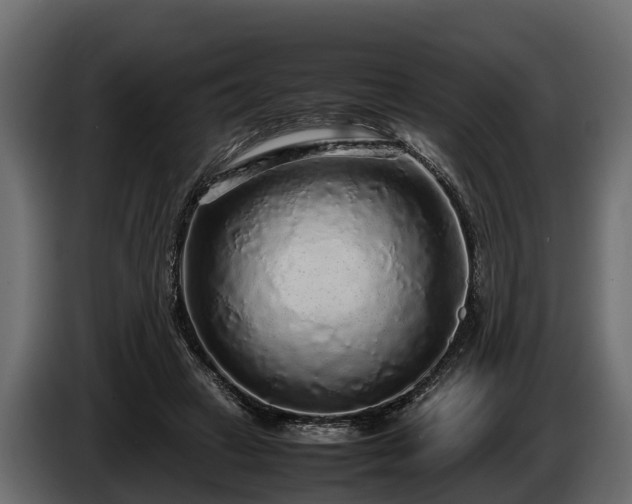 X0000085780449200703231249