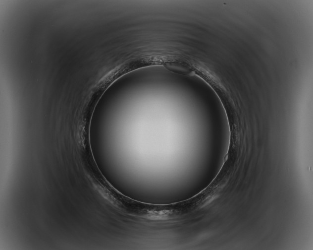 X0000085780450200703231249