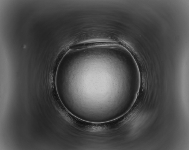 X0000085780453200703231249