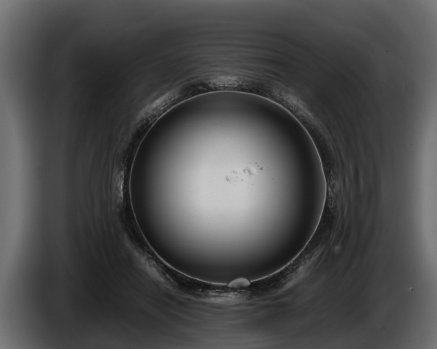 X0000085780454200703231249