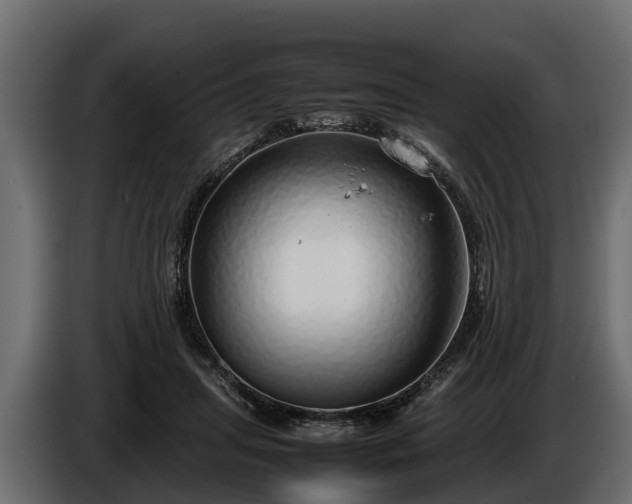 X0000085780455200703231249