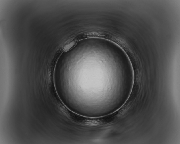 X0000085780457200703231249