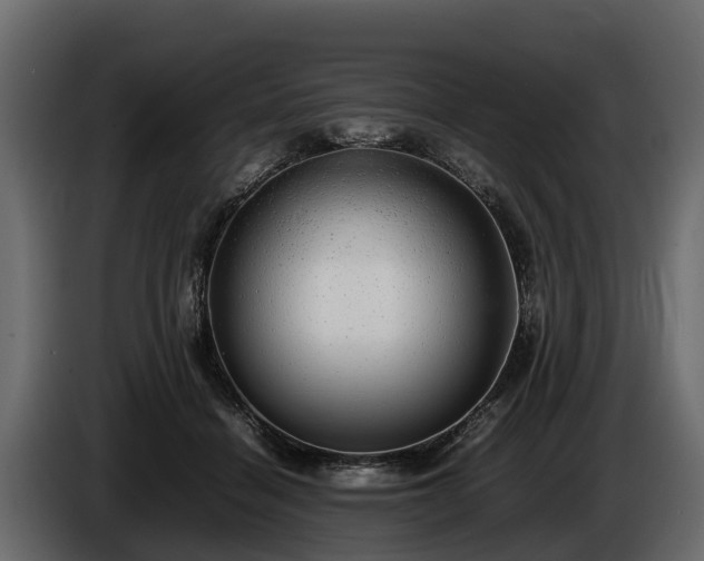 X0000085780460200703231250