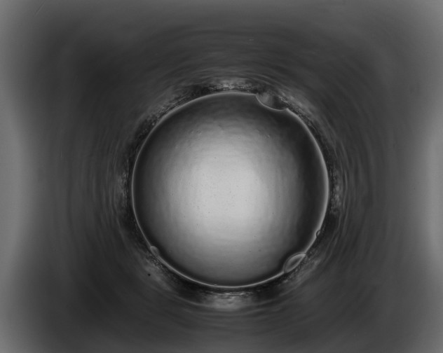 X0000085780461200703231250