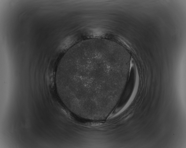 X0000085780462200703231250