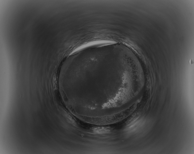 X0000085780465200703231250