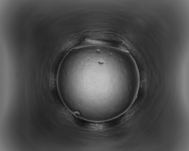 X0000085780469200703231250