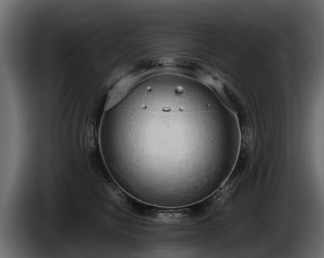 X0000085780470200703231250