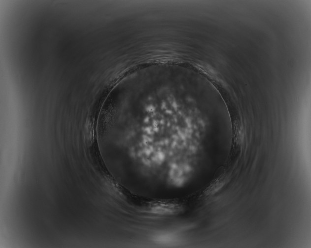 X0000085780471200703231250