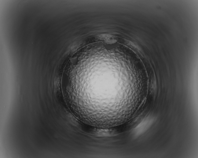 X0000085780473200703231250