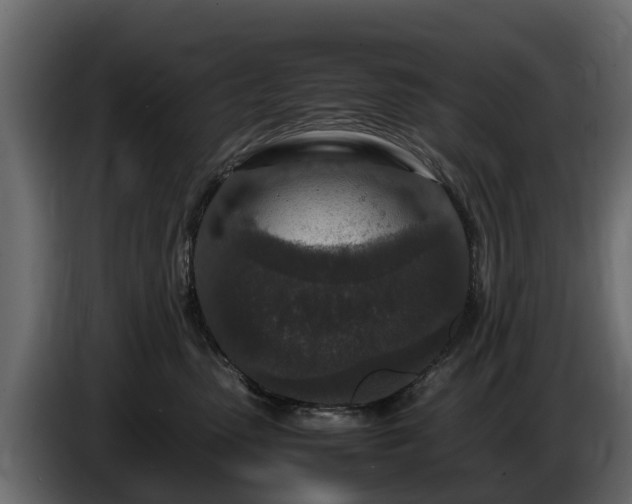 X0000085780475200703231250