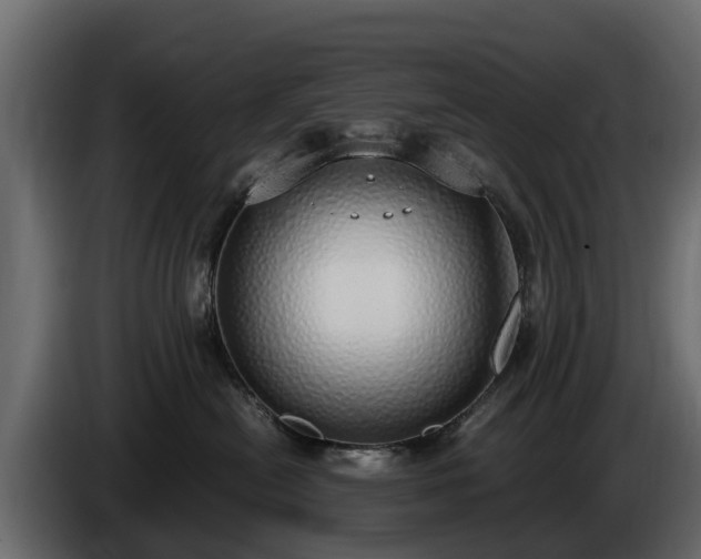 X0000085780478200703231250