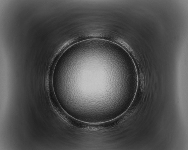 X0000085780482200703231249