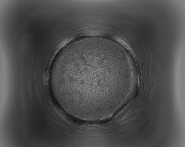 X0000085780483200703231249