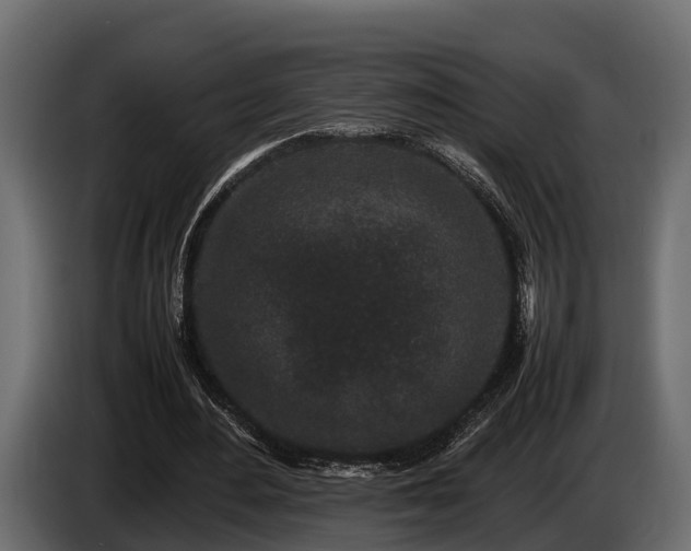 X0000085780484200703231249