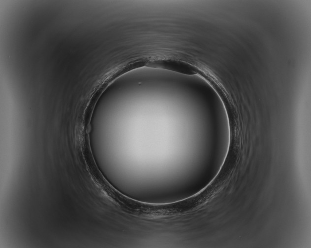 X0000085780485200703231249