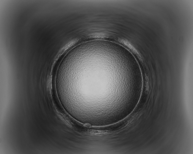 X0000085780486200703231249