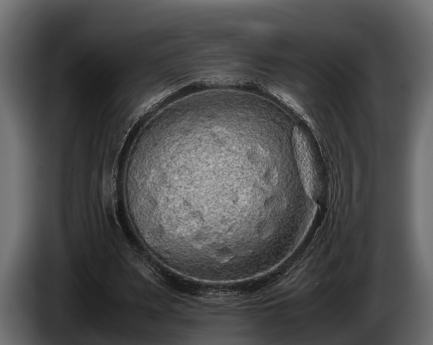 X0000085780487200703231249