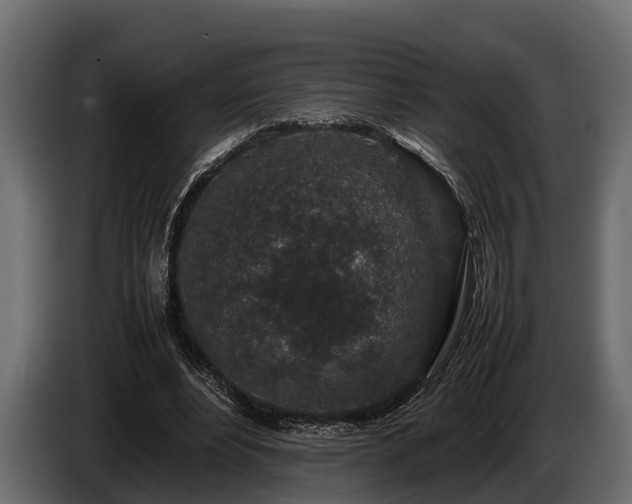 X0000085780488200703231249