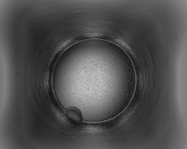 X0000085780490200703231249