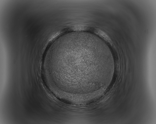 X0000085780491200703231249