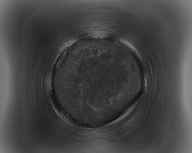 X0000085780492200703231249