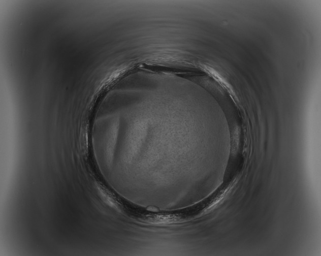 X0000085780493200703231249