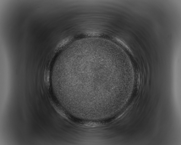 X0000085780494200703231249