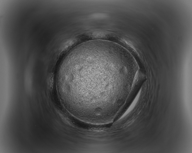 X0000085780495200703231249